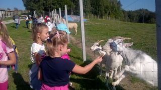 WP_20190912_09_52_35_Pro